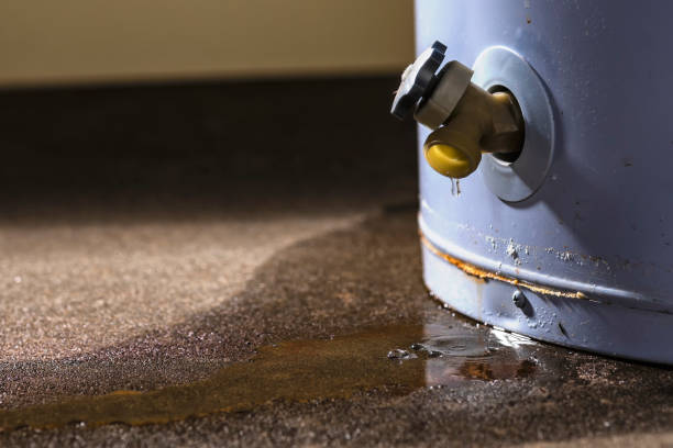 Best Water damage restoration near me  in Sands Point, NY