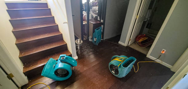 Best Commercial water damage restoration  in Sands Point, NY