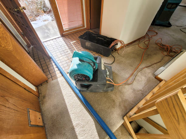 Best Fire Damage Restoration  in Sands Point, NY