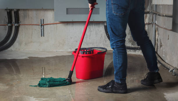 Best Water damage cleanup near me  in Sands Point, NY