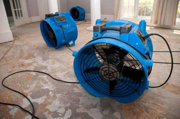 Best Local water damage restoration  in Sands Point, NY