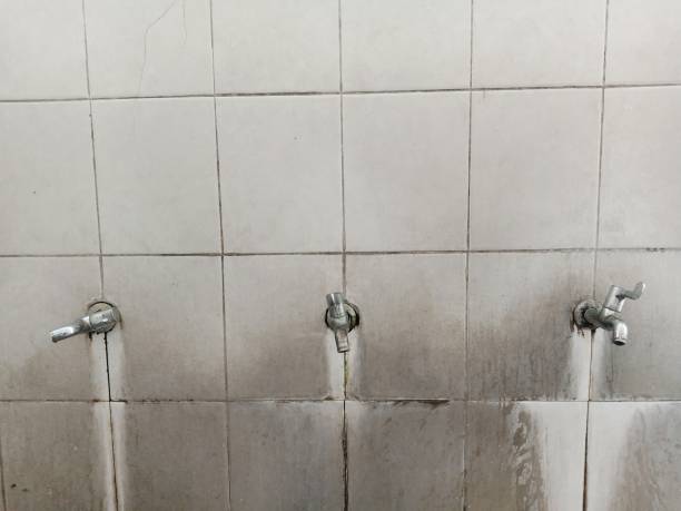 Best Emergency water damage restoration  in Sands Point, NY